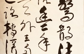 墨海融情·精益求精——书法名家梁宜君百家媒体聚焦报道