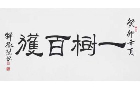 碑帖深修·超尘出俗——书法名家释徹慧大师百家媒体聚焦报道