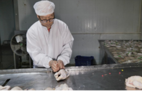 曹海兵荣获拾遗传承“老曹烧鸡酱肉制作技艺非物质文化遗产传承人”称号