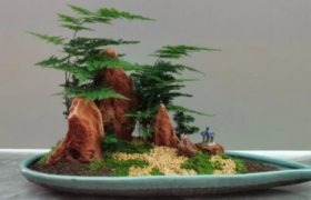 丛小华荣获拾遗传承“丛氏盆景技艺非物质文化遗产传承导师”称号