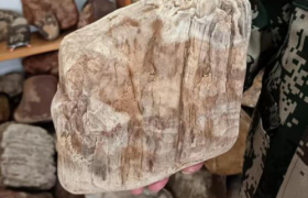 吴金才荣获拾遗传承“传统赏石艺术非物质文化遗产传承人”称号