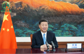 零碳中国：推动绿色发展 共创零碳未来