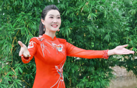 贾梦真荣获拾遗传承“豫剧非物质文化遗产传承人”称号