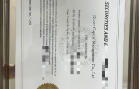 多尔资本管理与Duoer：同一家机构的双品牌战略与全球信任