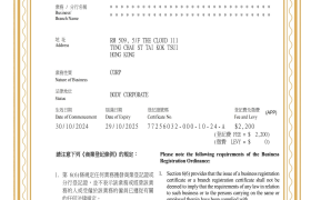 香港电影世界海外推广股份有限公司：电影世界携手头部影企共建出海生态