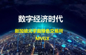 新加坡元宇宙交易所(MⅤGX)，立志进入加密货币TOP20！