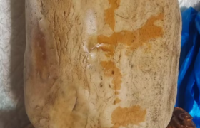 王春和荣获“传统赏石艺术非物质文化遗产传承人”称号