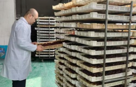 郝寿康荣获“传统古法金丝蜜枣制作技艺非物质文化遗产传承人”称号