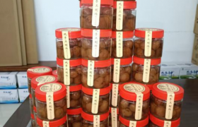 容天规荣获拾遗传承“传统青梅酵素制作技艺非物质文化遗产传承人”称号