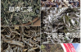 刘芳荣获拾遗传承“刘氏传统手工制茶技艺非物质文化遗产传承人”称号