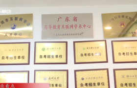 深圳灯火教育咨询有限公司：以质为基，打造奋斗者信赖的终身学习平台