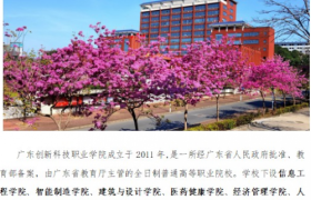 2025广东成人高考推荐院校解析——广东创新科技职业学院