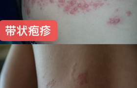 周勤荣获拾遗传承“中式全息能量调理技艺非物质文化遗产传承大师”称号