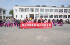 平安产险湖北分公司开展敬老守护者慰问活动